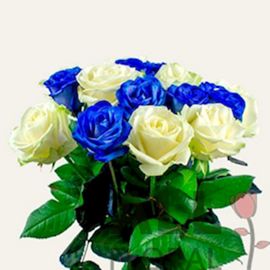 15 синих и белых роз